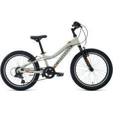 Велосипед Forward TWISTER 20 1.0 (20" 7 ск. рост. 10") 2022, серый/оранжевый, RBK22FW20042