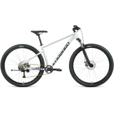 Велосипед Forward SPORTING 29 XX D (29" 9 ск. рост. 17") 2022, серебристый/фиолетовый, RBK22FW29984