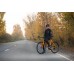 Велосипед FORMAT 2323 700С 550 2021 светл. коричневый