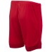 Шорты игровые детские Jogel DIVISION PerFormDRY Union Shorts red/dark red/white р-р XS