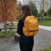 Городской рюкзак Polar 18262 red