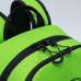 Рюкзак школьный GRIZZLY RB-151-5 /2 light green